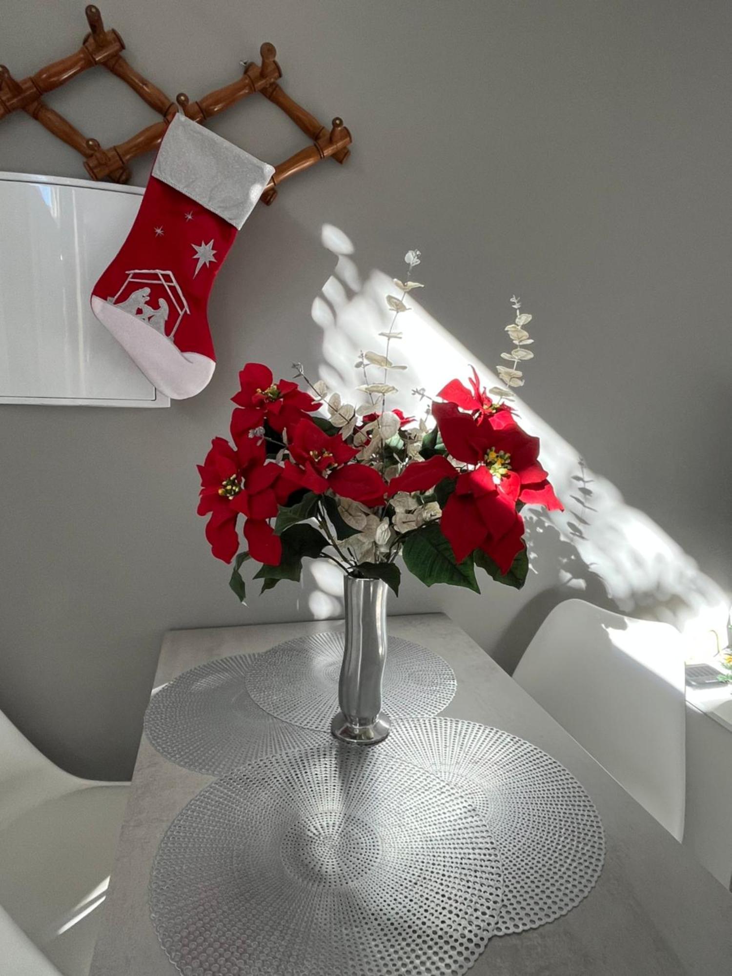 Aloja Apartament